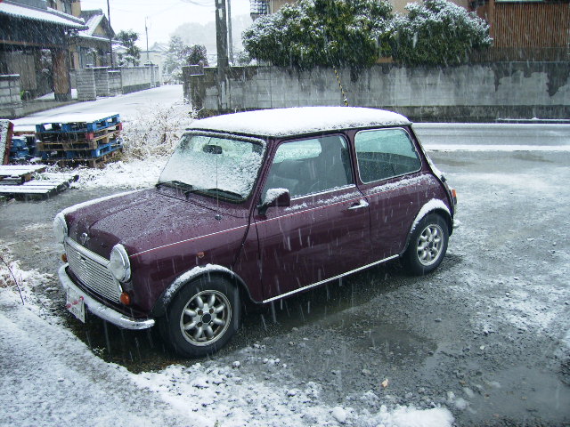 またしても雪だ＾＾